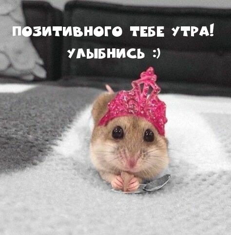 Позитивного тебе утра! Улыбнись :)