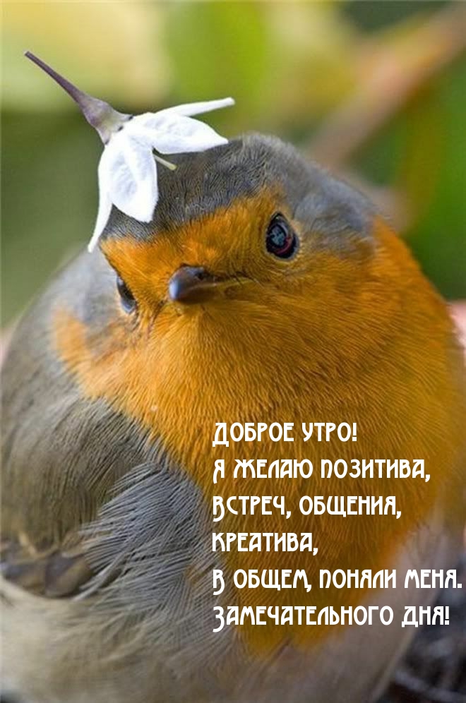 Доброе утро! Я желаю позитива!