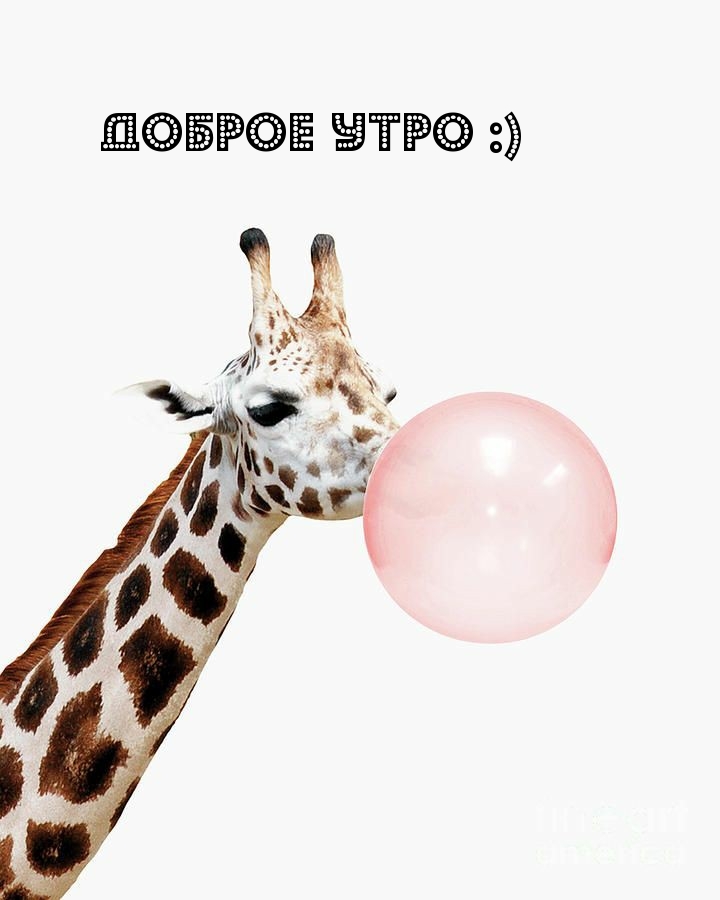 Доброе утро :)