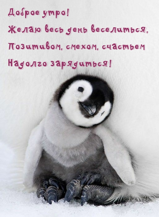 Позитивом, смехом, счастьем надолго зарядиться!