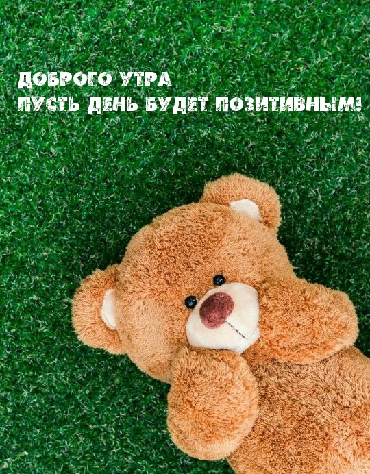 Доброго утра! Пусть день будет позитивным!