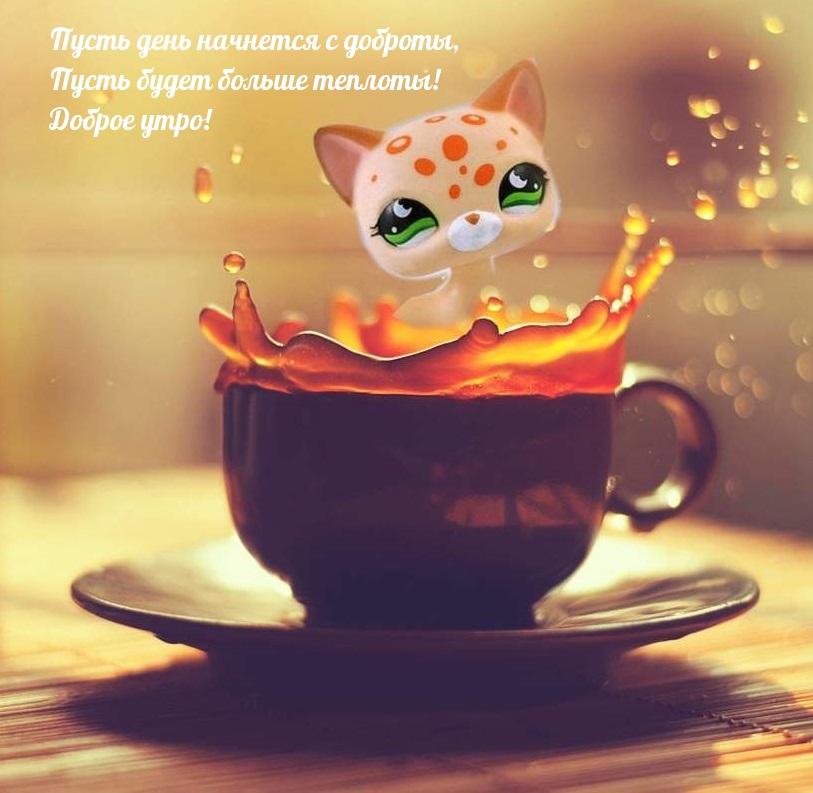 Пусть день начнется с доброты!