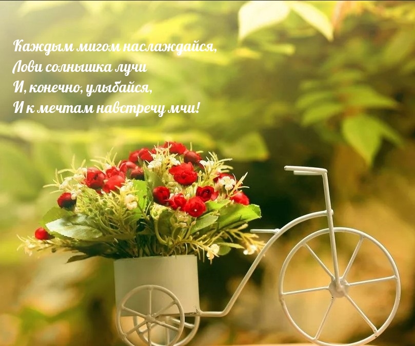 И к мечтам навстречу мчи! Лови солнышка лучи)