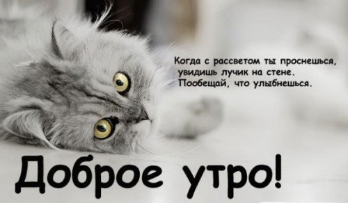 Доброе утро! Улыбнись
