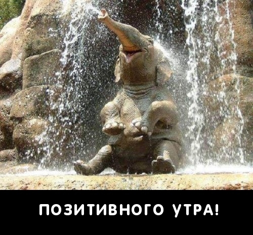 Позитивного утра!
