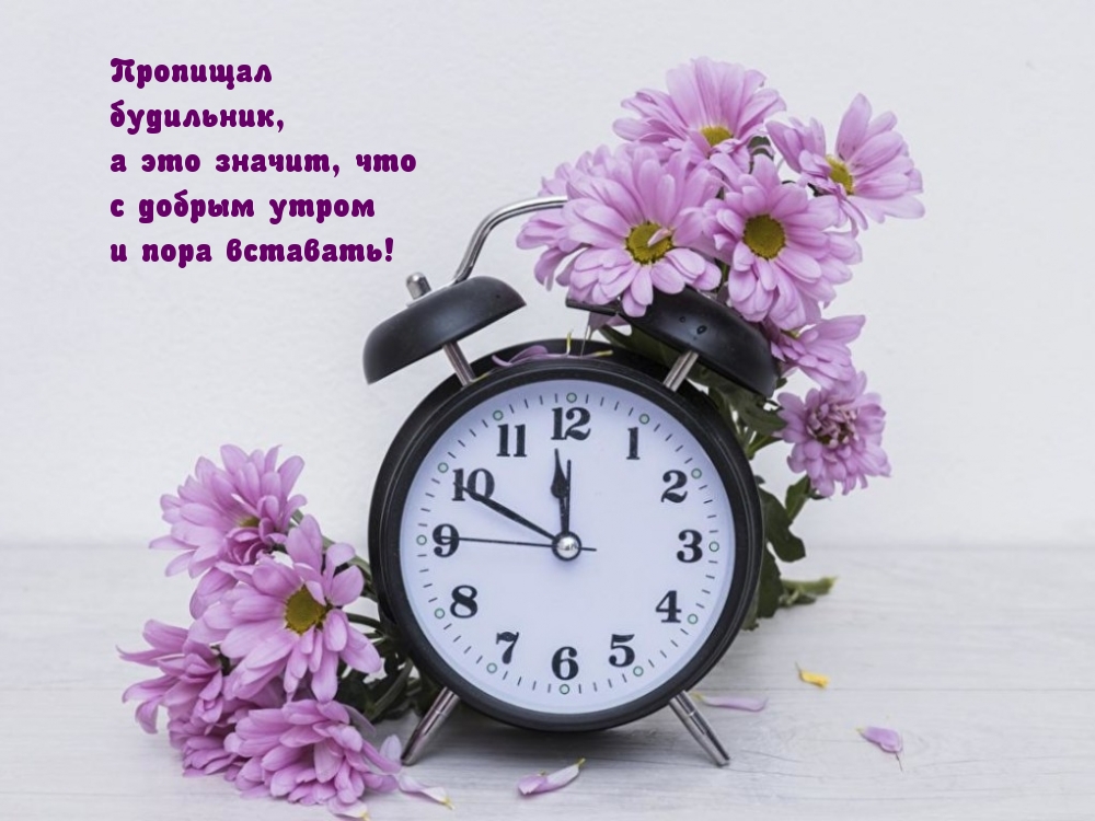 Пропищал  будильник, пора вставать!