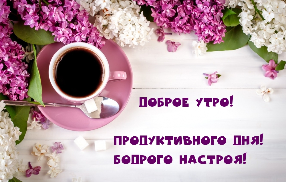 Доброе утро! Продуктивного дня! Бодрого настроя!