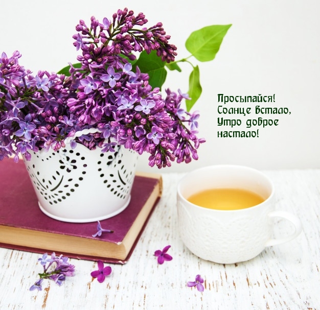Просыпайся! Солнце встало, Утро доброе настало!