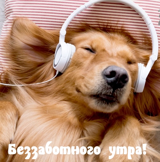 Беззаботного утра!