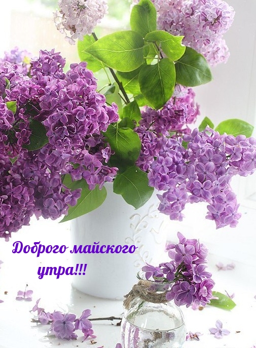 Доброго майского утра!