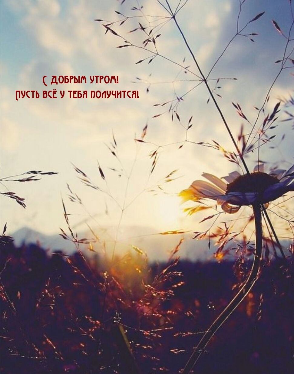 С добрым утром! Пусть всё у тебя получится!