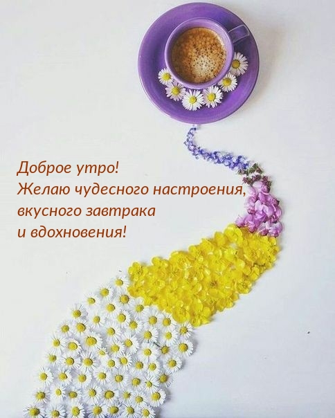 Доброе утро! Желаю чудесного настроения!