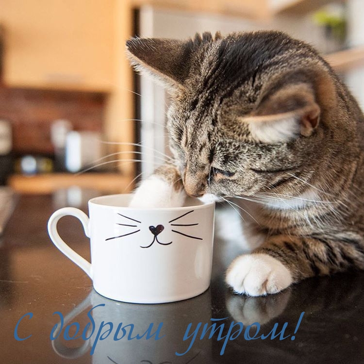 С добрым утром!