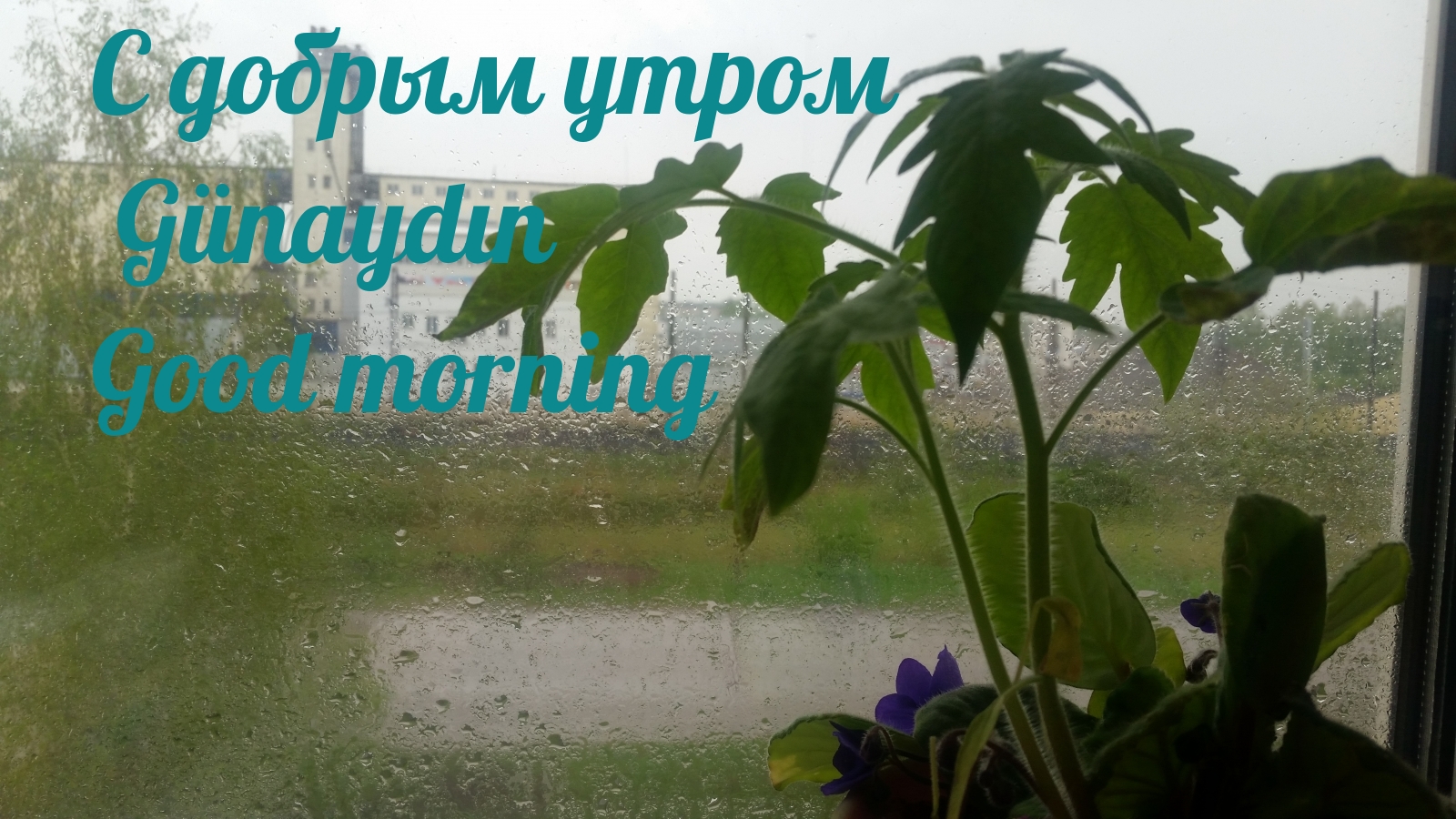С добрым утром! Günaydın! Good morning!