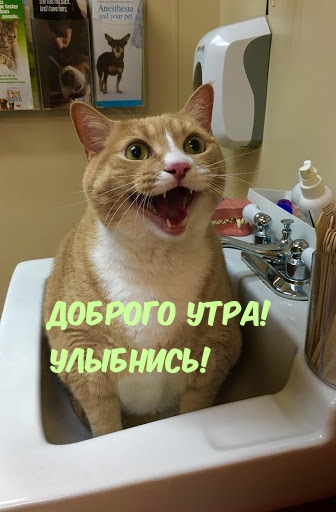 Доброго утра! Улыбнись!