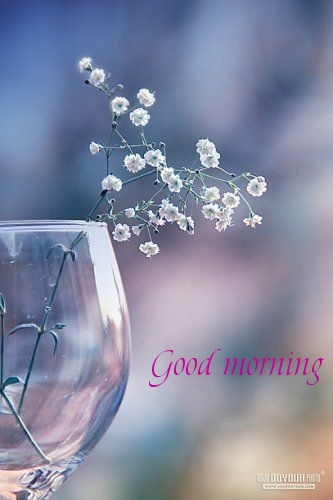 Good morning