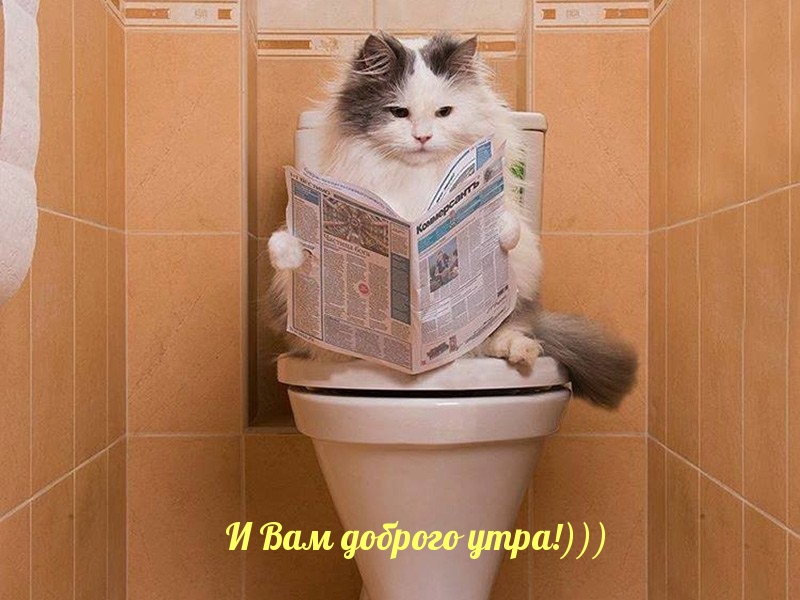 И Вам доброго утра!)))