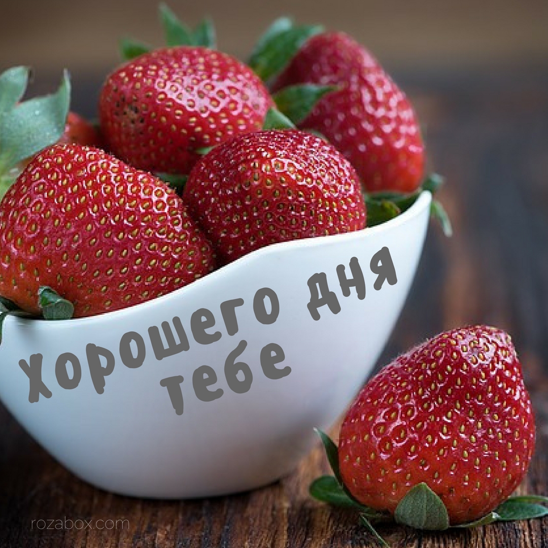 Хорошего дня тебе!