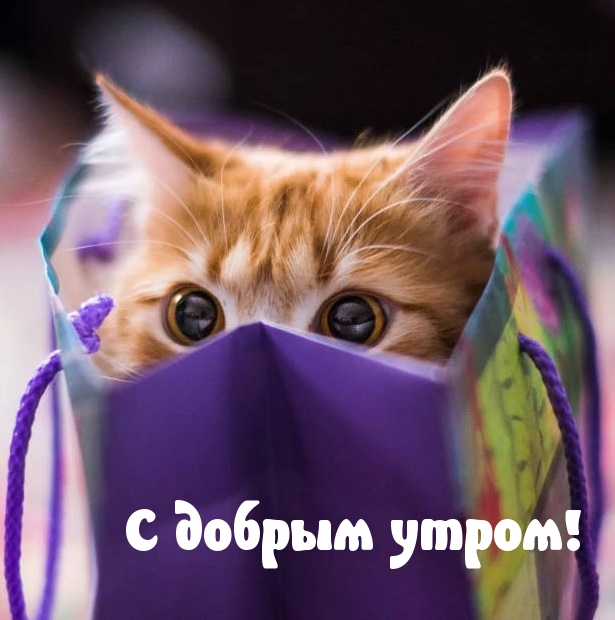 С добрым утром!