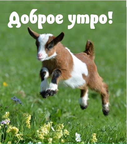 Доброе утро!