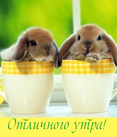 Отличного утра!