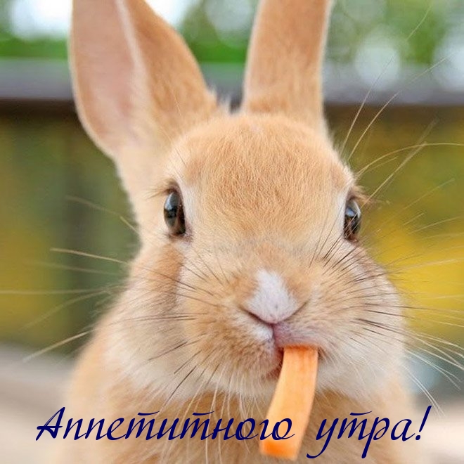 Аппетитного утра!