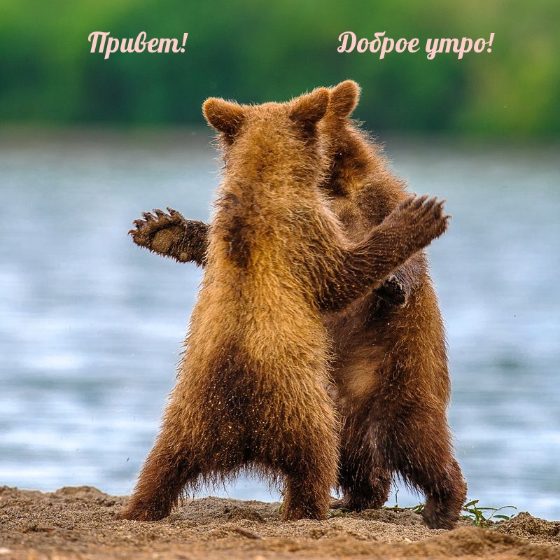 Привет! Доброе утро!