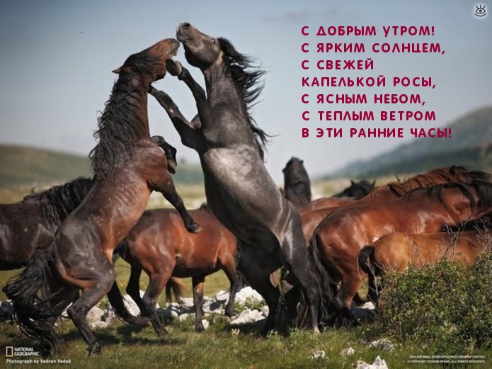 С добрым утром! С ярким солнцем!