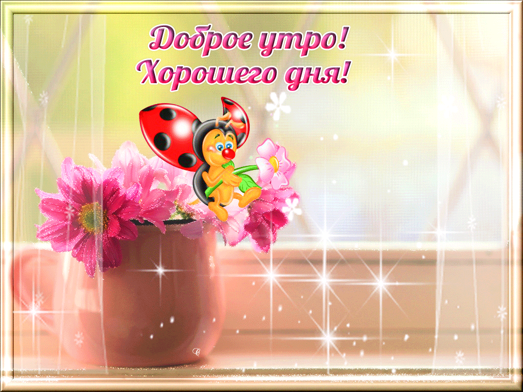 Доброе утро! Хорошего дня!