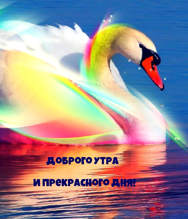 Доброго утра и прекрасного дня!