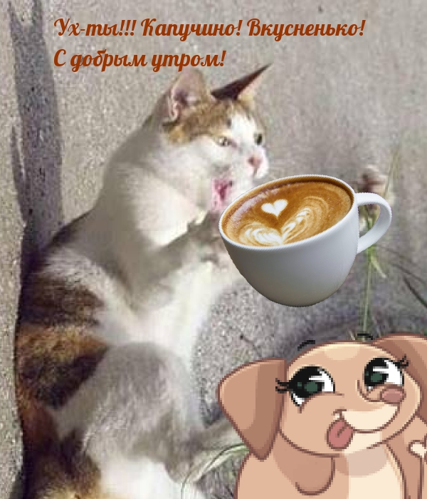 Ух-ты! Капучино! Вкусненько! С добрым утром!