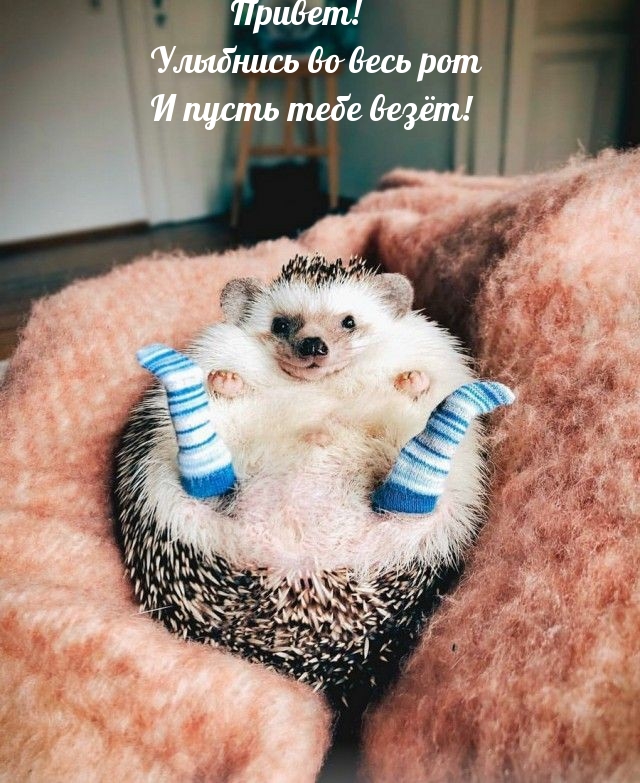 Привет! Улыбнись во весь рот!
