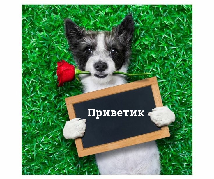 Приветик