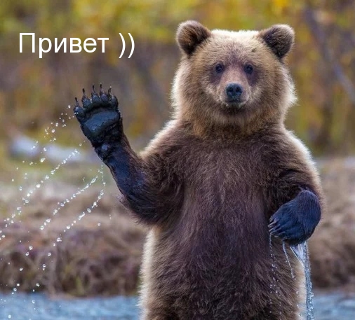 Привет ))
