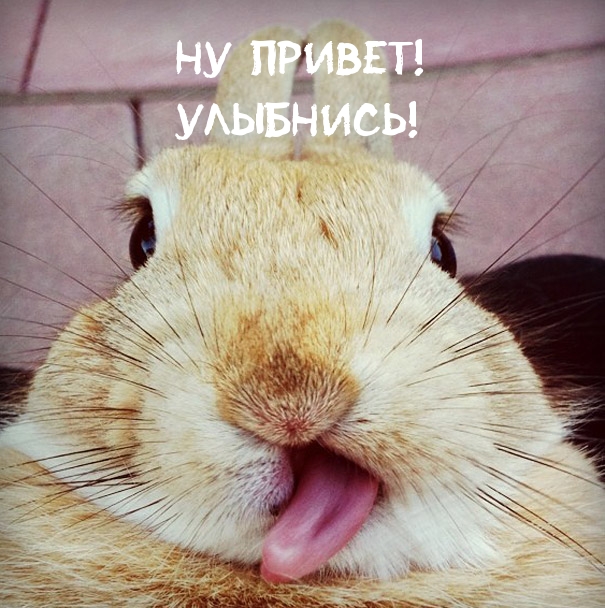 Ну привет! Улыбнись!