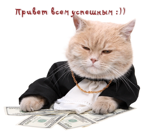 Привет всем успешным :))