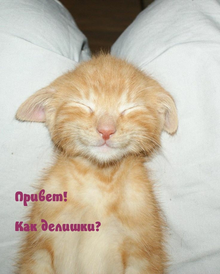 Привет! Как делишки?