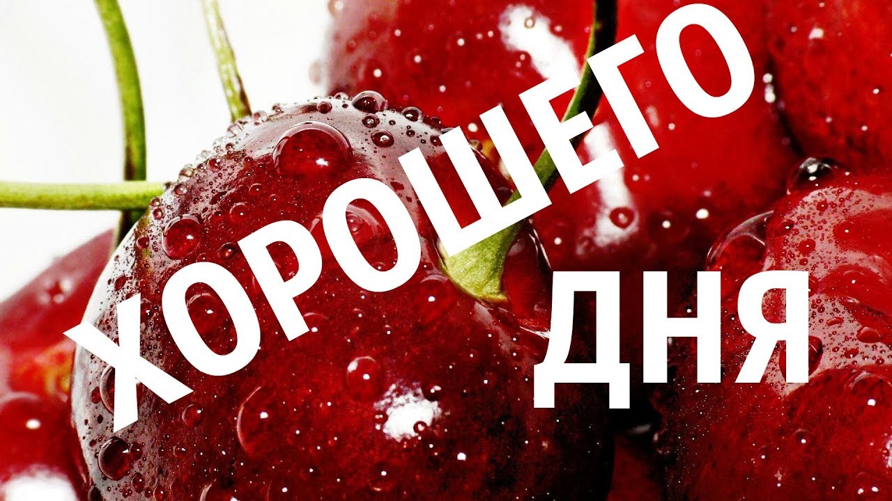 Хорошего дня