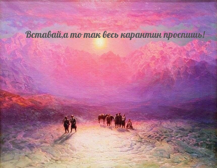 Вставай,а то так весь карантин проспишь!