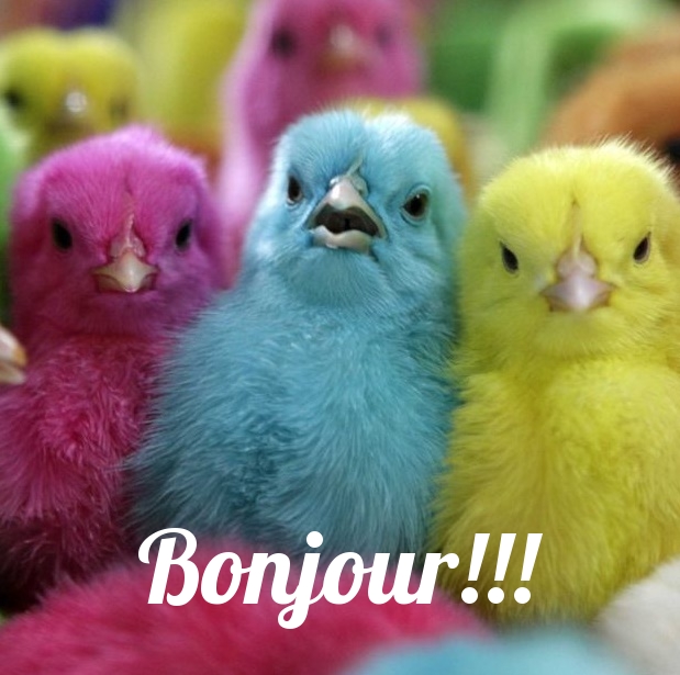 Bonjour!