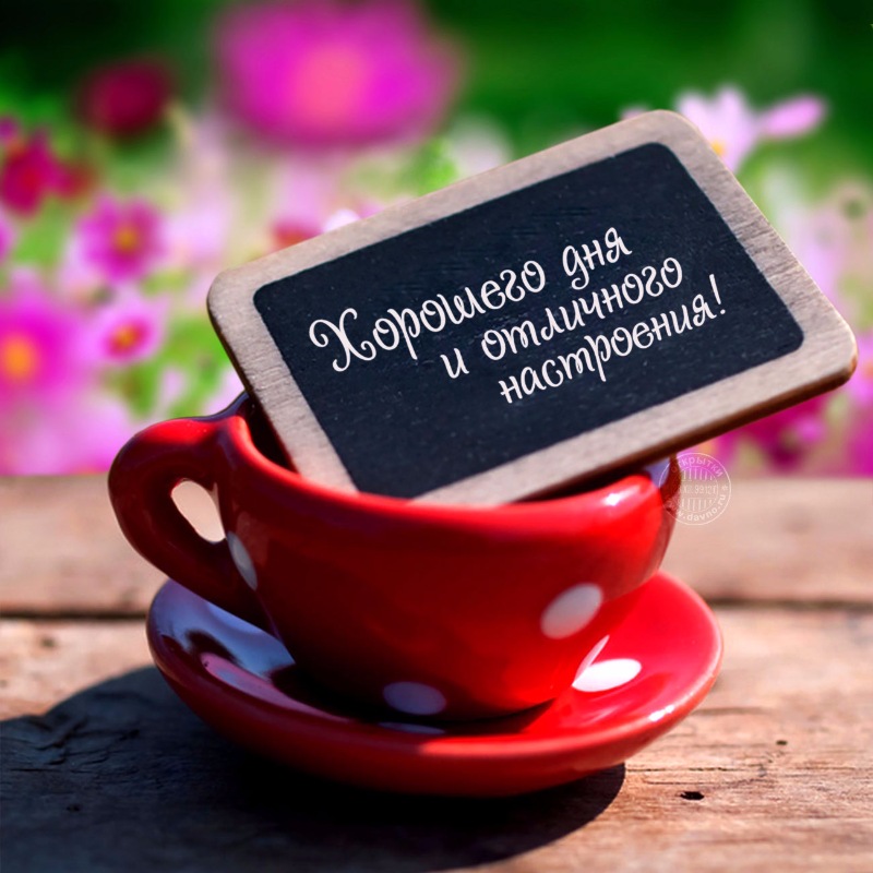 Хорошего дня и отличного настроения!