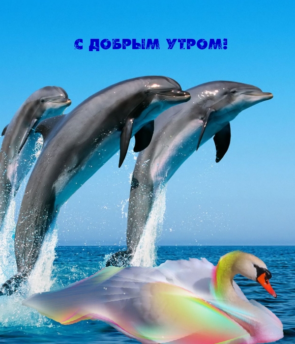 С добрым утром!