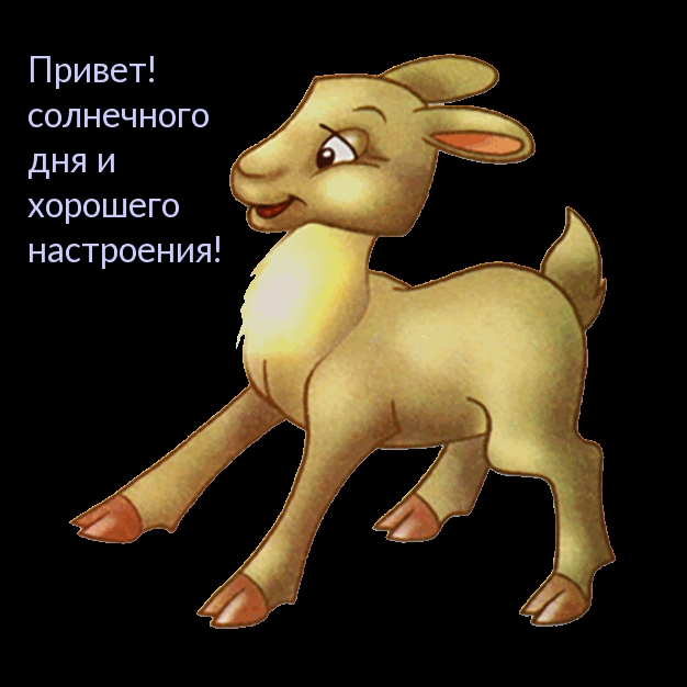 Привет! солнечного дня и хорошего настроения!