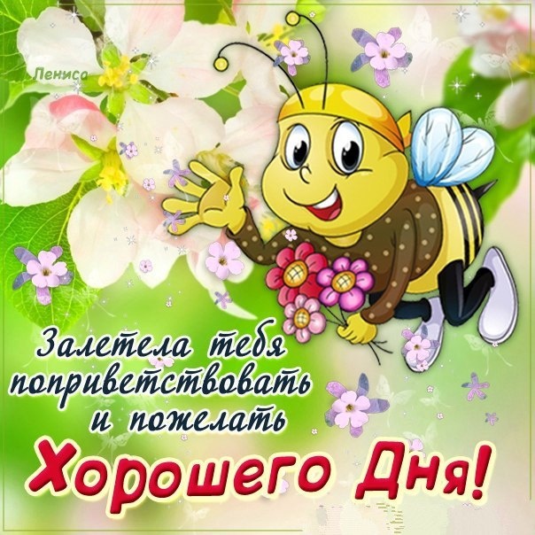 Залетела пожелать тебе хорошего дня!