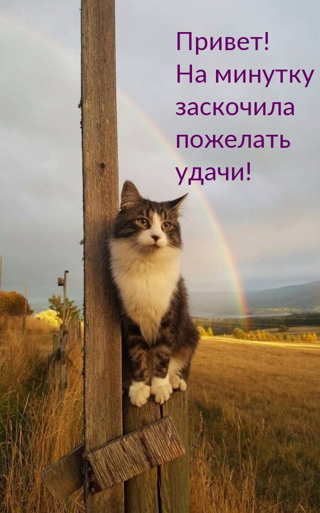 Привет! На минутку заскочила пожелать удачи!