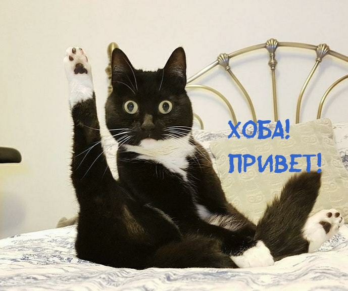 Хоба! Привет!