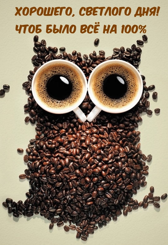 Хорошего, светлого дня! Чтоб было всё на 100%