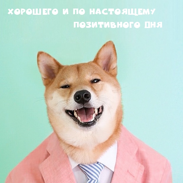 ХОРОШЕГО и по настоящему позитивного ДНЯ