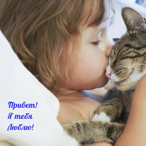 Привет! Я тебя Люблю!