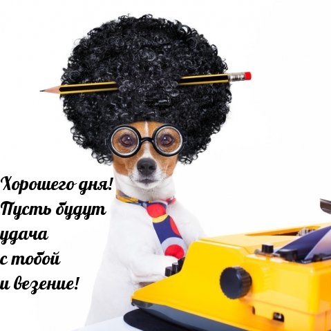 Хорошего дня! Пусть будут удача с тобой и везение!